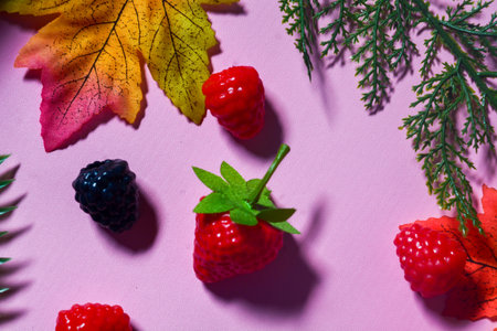 Isolated Blueberry, Blackberry and Strawberry fruit. Against a pink backgroundの写真素材