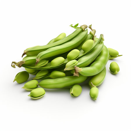 High quality 3D design of broad beans, in white backgroundの素材