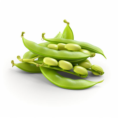 High quality 3D design of broad beans, in white backgroundの素材