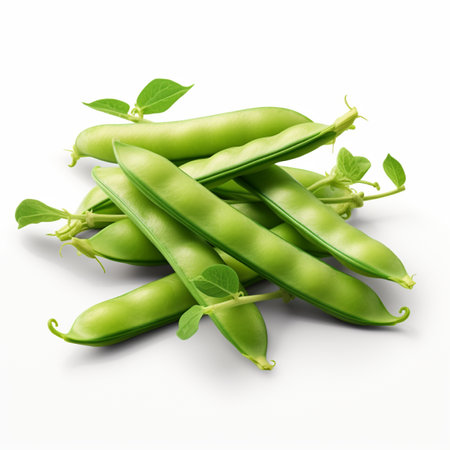 High quality 3D design of broad beans, in white backgroundの素材