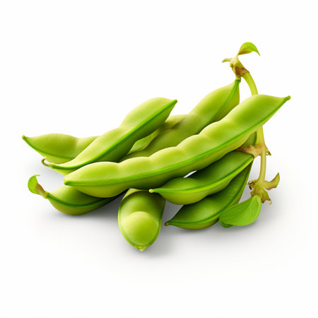 High quality 3D design of broad beans, in white backgroundの素材