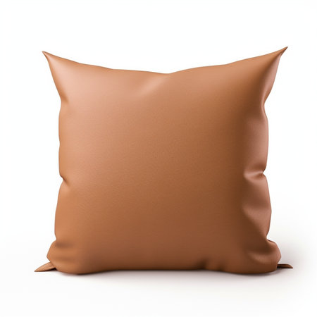 brown color of square sofa pillow in white isolated backgroundの素材