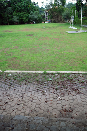A grassy park area with a few trees and a clear sky. The ground is mostly green with patches of grass and some fallen leaves. There are white poles in the backgroundの写真素材