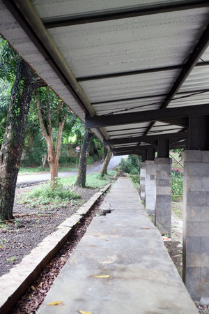 A long, empty walkway under a metal roof, surrounded by trees and greenery. The path is made of stone and leads to a road in the background, creating a serene and tranquil atmosphere.の写真素材