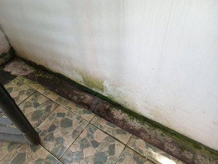 A close up view of a wall with visible mold and mildew growth, showing a damp area at the base. The floor features a patterned tile design, contrasting with the walls discoloration.の写真素材