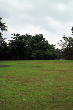 A wide, open grassy field under a cloudy sky, surrounded by lush green trees. The ground is mostly flat with patches of grass and some bare spots, suggesting a natural, serene environment.の写真素材