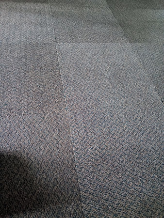 A close up view of a textured carpeted floor featuring a pattern of interlocking tiles in muted gray tones.の写真素材