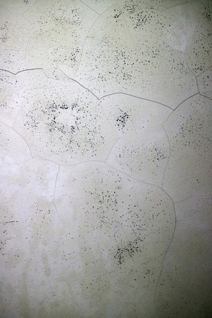 A textured wall with a light beige color, featuring irregular patterns and small dark specks. The surface appears slightly cracked, creating a unique visual effect.の写真素材