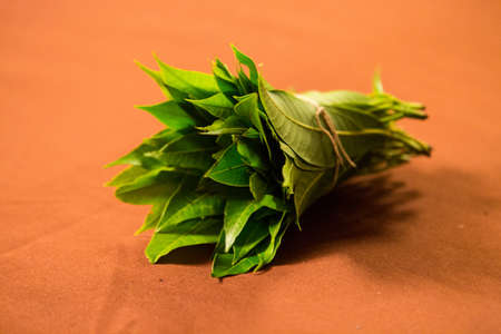 Mango Leaves ('Aam Pata' in bengali) usually used in Bengali Weddingsの写真素材