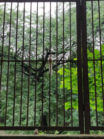 Travel Photography by Ayush Dasのeditorial素材