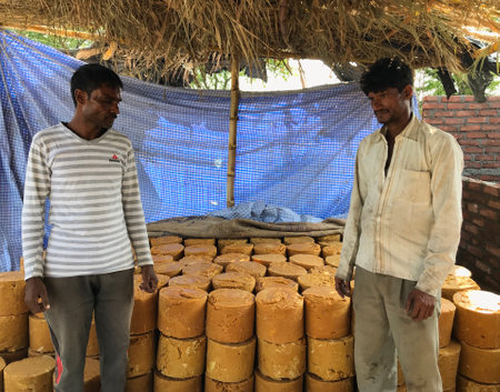 Narsinghpur, Madhya Pradesh/India : November 16, 2019 - Men showing jaggery stock made by sugarcane juiceのeditorial素材