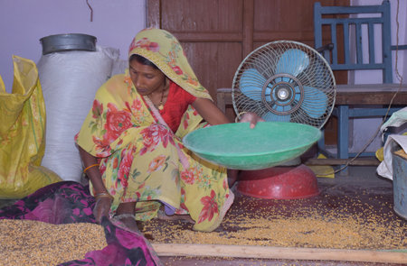 Karakbel, Madhya Pradesh/India : April 30, 2020 - Rural Indian woman cleaning grain at homeのeditorial素材