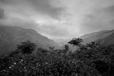 Black and white landscape photographyの写真素材