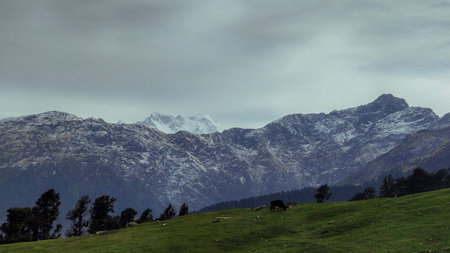 Green meadow and glacial mountain landscape