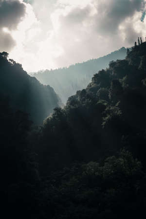 Beautiful landscape of forest and mountain in the morning,Thailandの写真素材