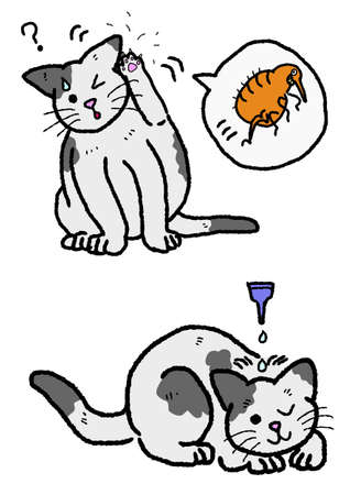 cat flea exterminationのイラスト素材