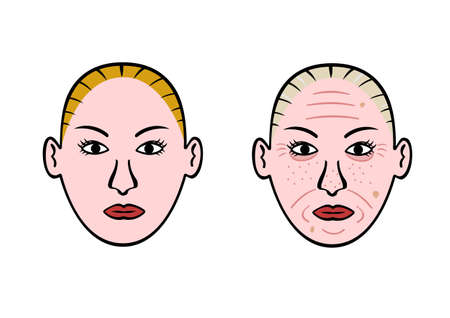 aging faceのイラスト素材
