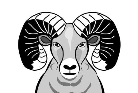 monochrome Bighorn sheepのイラスト素材