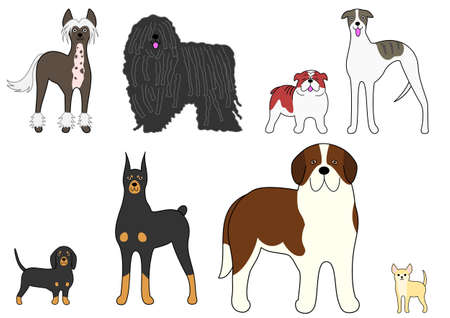 four pairs of contrasting Dogsのイラスト素材