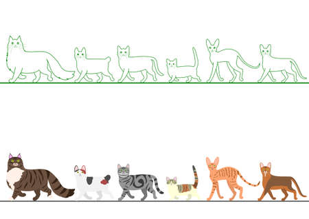 set of various cats walking in lineのイラスト素材