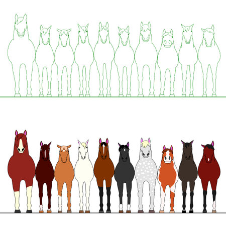 Horses in a rowのイラスト素材
