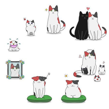 Cat's life cycleのイラスト素材