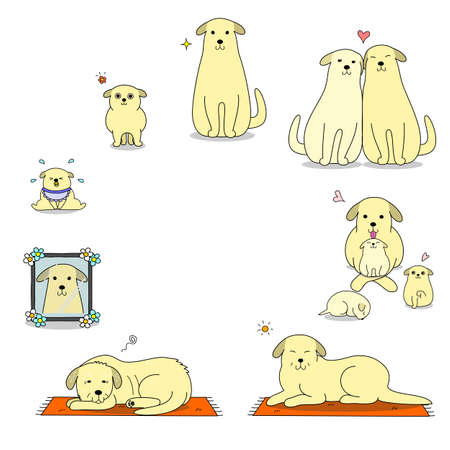 dog's life cycleのイラスト素材