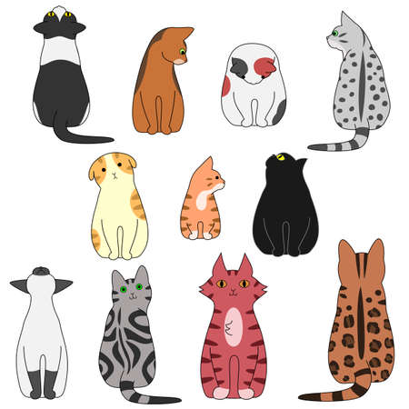 various posing cats setのイラスト素材