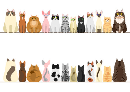 cats border set, front view and rear viewのイラスト素材