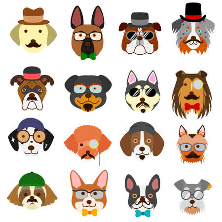 hipster dogs faces with glassesのイラスト素材