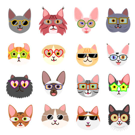 cute kiten faces with glassesのイラスト素材