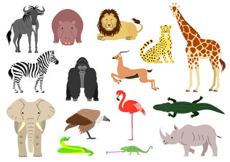 African animal element set on white backgroundのイラスト素材