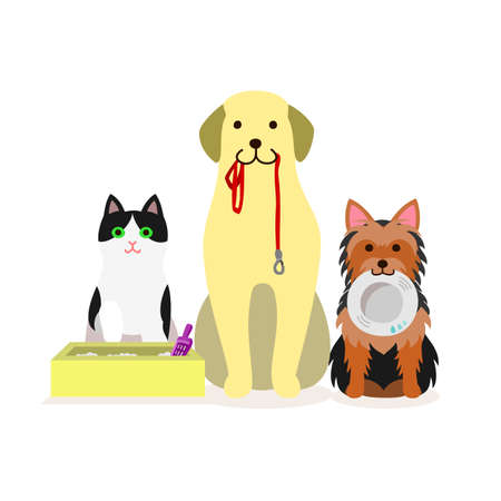 Small group of dogs and cat who needs servicesのイラスト素材