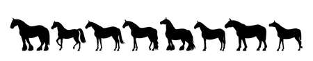 Horse silhouette bannerのイラスト素材