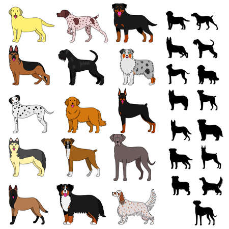 dog breeds set isolated.のイラスト素材