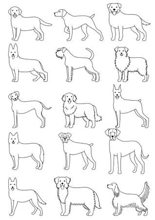 dog breeds line art setのイラスト素材