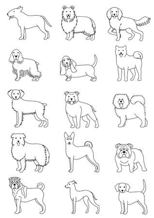 Medium dog breeds line art setのイラスト素材