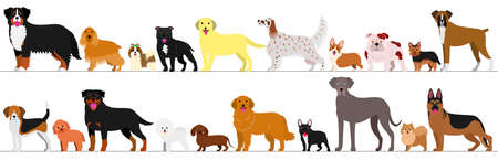 Standing dogs border setのイラスト素材