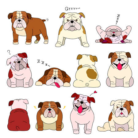 Bulldog elements with colors and outlinesのイラスト素材