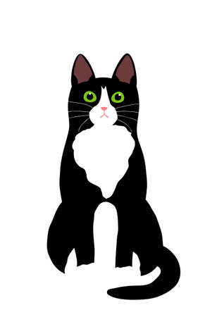 Tuxedo cat vectorのイラスト素材