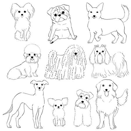group of small dogs hand drawn line art Vector illustration.のイラスト素材