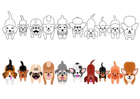 Set of different dog breeds standing.のイラスト素材