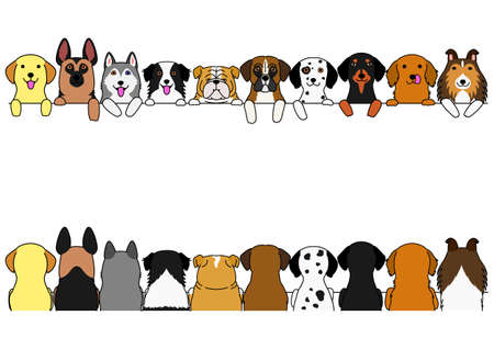 border set dogs, large dogs, front side and back sideのイラスト素材