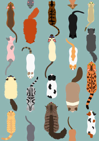cats seamless pattern backgroundのイラスト素材