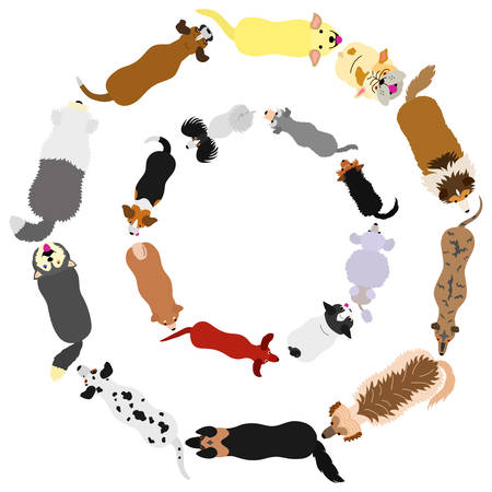 dogs round frame setのイラスト素材
