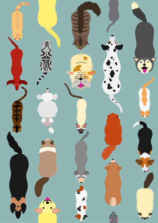 cats and dogs seamless designのイラスト素材