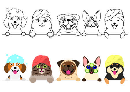 cats and dogs enjoying spa in a rowのイラスト素材