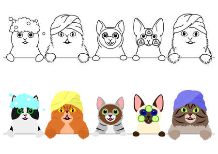 cats enjoying spa in a rowのイラスト素材