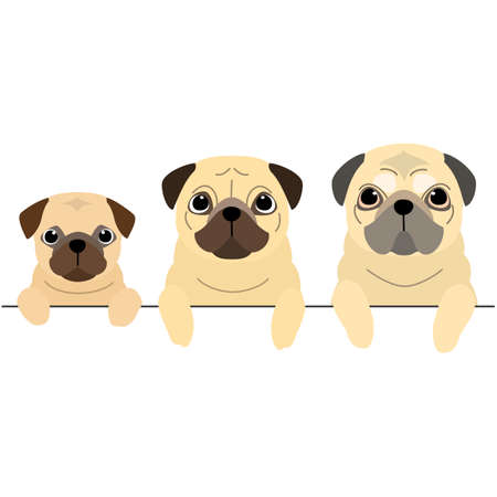three generations of Pugs borderのイラスト素材