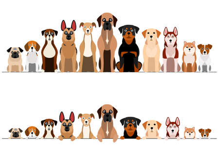 set of brownish dogs border setのイラスト素材